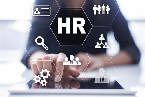 人力資源服務(wù)產(chǎn)業(yè) 打造創(chuàng)業(yè)就業(yè)新高地 江西